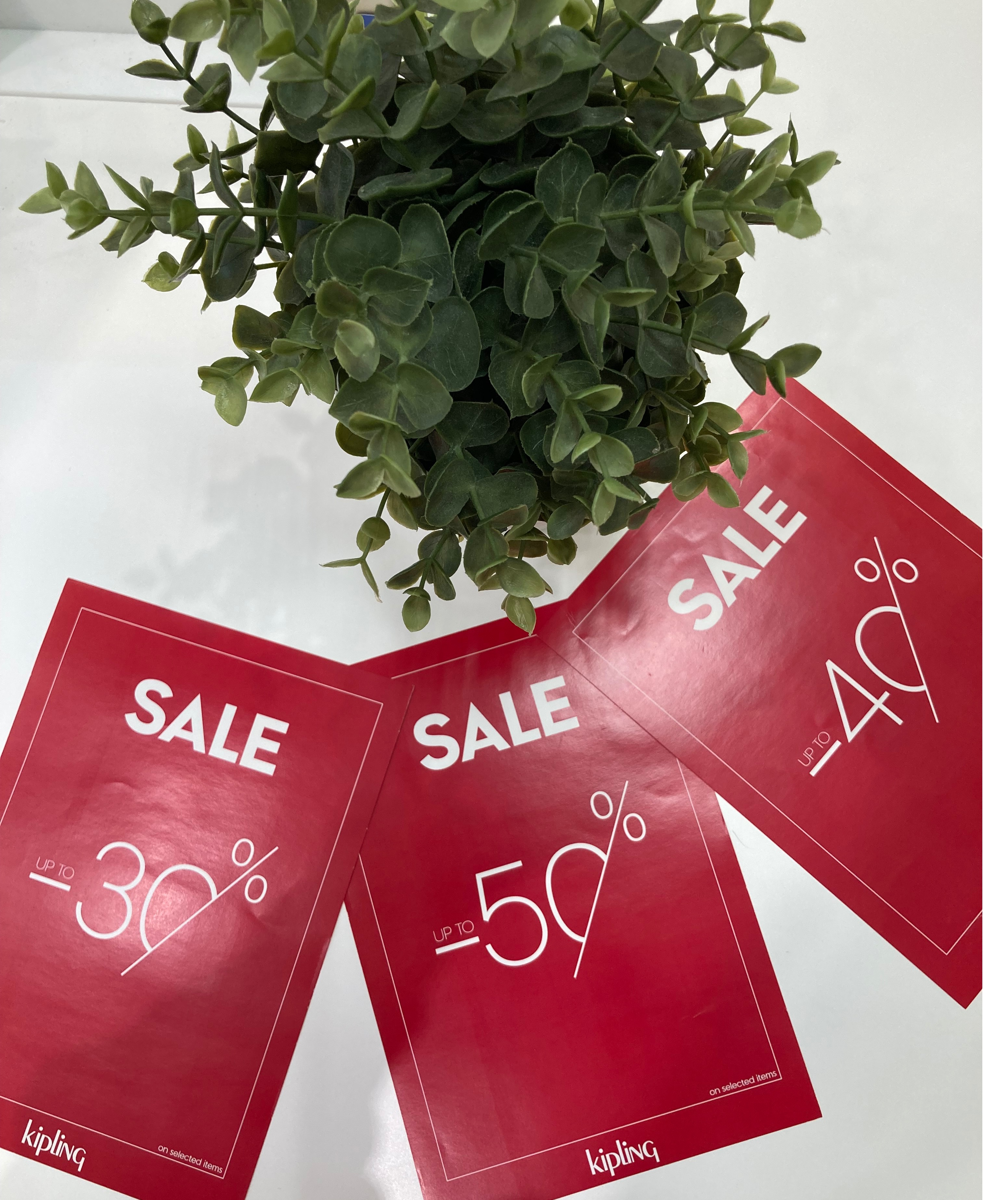 最終値下げのご案内 | ショップブログ | 東急百貨店 さっぽろ店