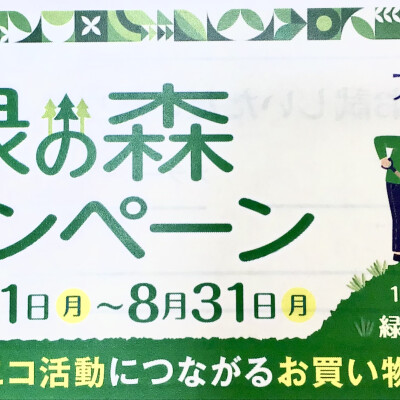 ✨🌏エコ活動につながるお買い物🌳✨