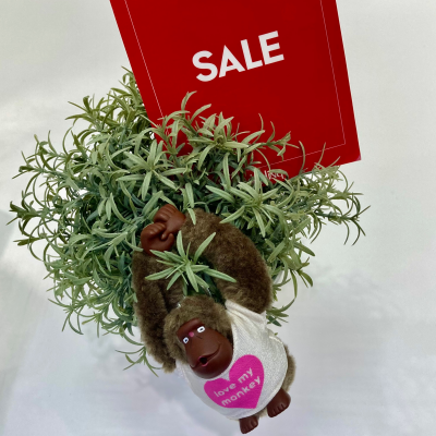 SALEオススメ商品