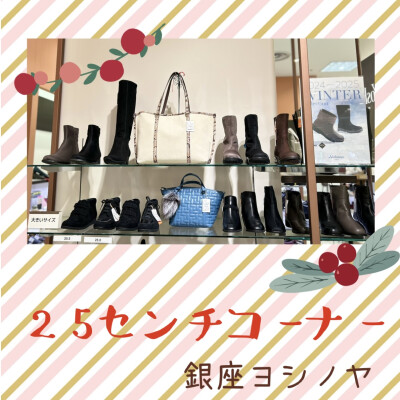 25㎝コーナーのご紹介👢