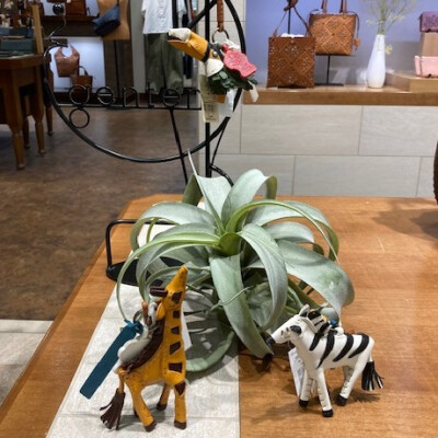 サバンナの動物たちのチャームが登場です！