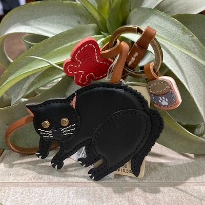 ２月２２日は猫の日です😸