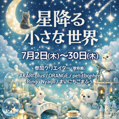 星降る小さな世界