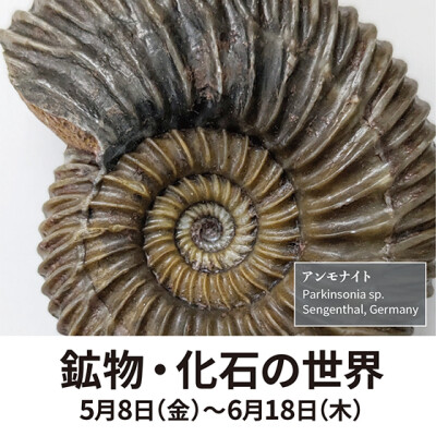 鉱物・化石の世界