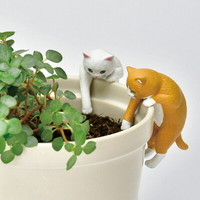 お部屋で植物を「栽培」してみませんか？