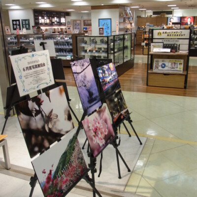 4月開催の撮影会の写真展を開催中です