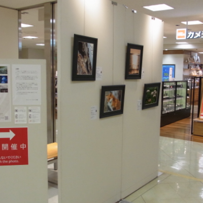 写真展開催のお知らせです