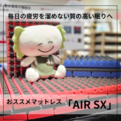 nishikawaの【AIR SX】