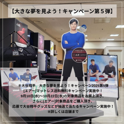 大きな夢を見よう！キャンペーン好評開催中！
