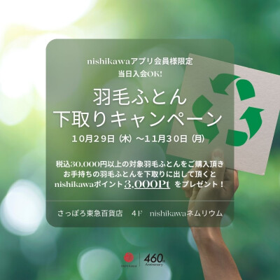 羽毛ふとん下取りキャンペーン✨