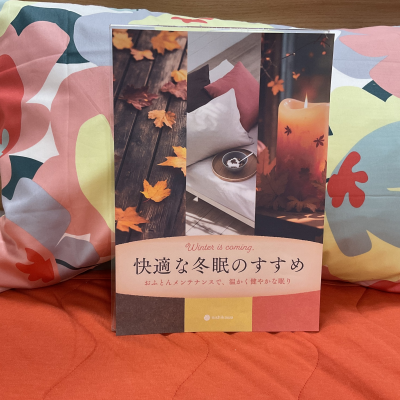 快適な冬眠のすすめ