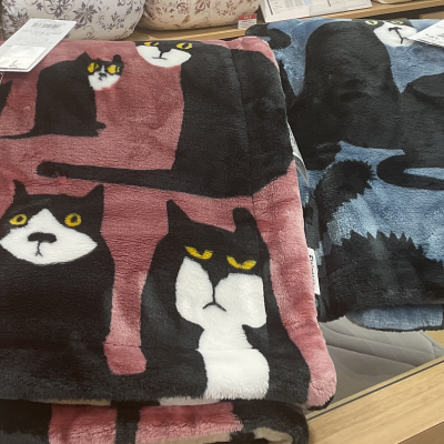 【フィンレイソン】リバーシブル毛布🐈
