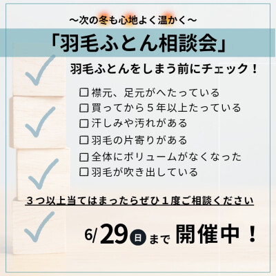 羽毛ふとん相談会開催中です