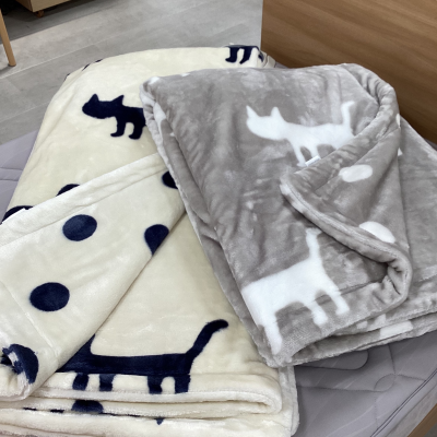 冬にオススメ毛布編①