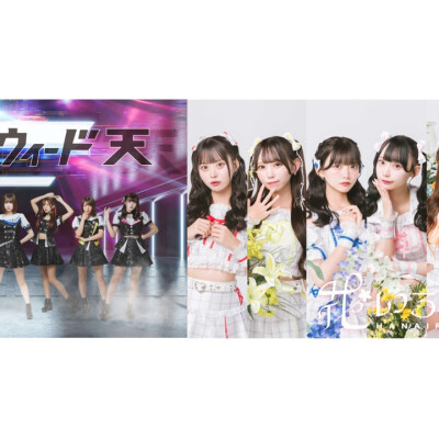 〈イベント♬〉1/25(土)・26(日)【ワンダーウィード天・花いろは】ミニライブ＆特典会開催